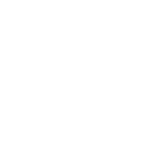 no11x's emblem