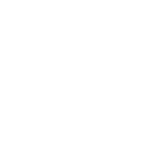 3615_HANS's emblem