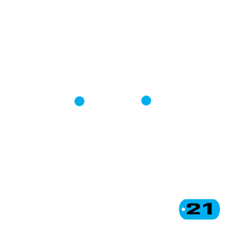 21stSummer's emblem