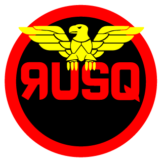 dLyuR1's emblem