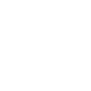Mediccium's emblem