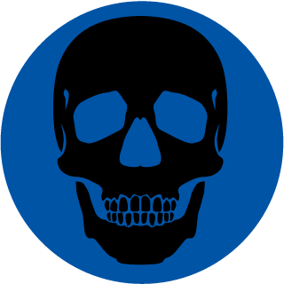 NikichRM1's emblem