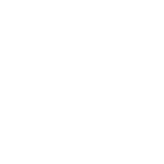 zehninguemn's emblem