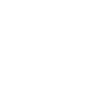 07InVaDeR07's emblem