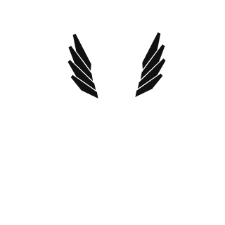 229Amahasla1338's emblem