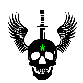 Mr_VeXXeD's emblem