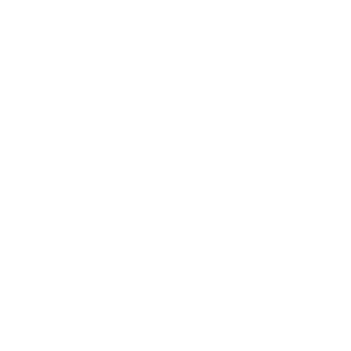 EmzyVIGZ's emblem