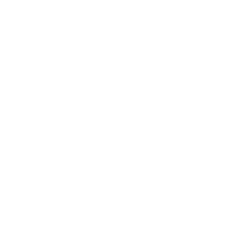 BORNMEGADETH666's emblem