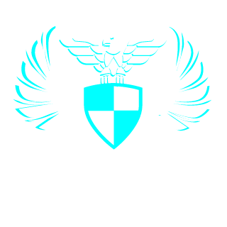 soy_elguapo's emblem