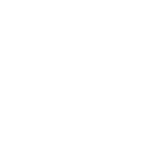 speedymax_1's emblem