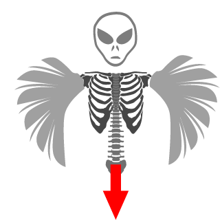 Smorlov's emblem
