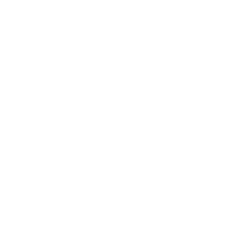 richtiglost's emblem