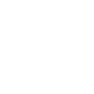InsaneMock's emblem