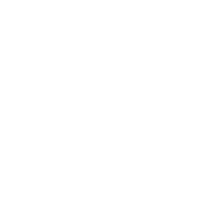 Vazelin1613's emblem