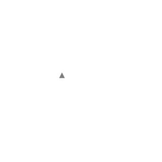 RamiroLopez's emblem