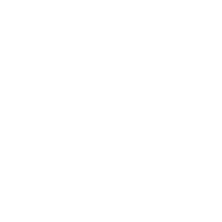 mufasa153's emblem