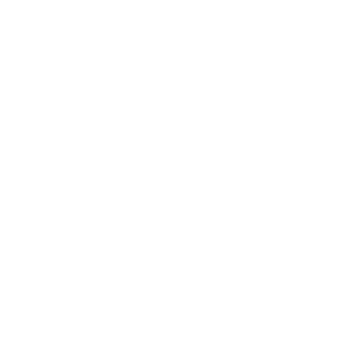 BlizZaRD4NL's emblem