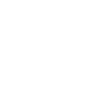 erragodofmayhem's emblem