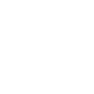 TwoSixOne-YT's emblem