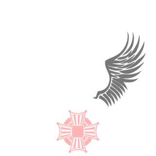 TheLoneRangerDK's emblem