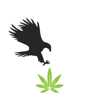 marcomormile's emblem