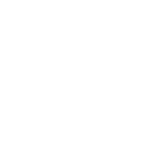 DUMPnSHELLS's emblem