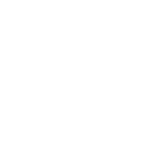 VladKSPyat's emblem