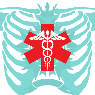 N0085T3R's emblem
