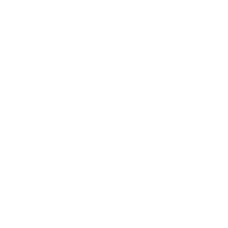 SirThunderPoo's emblem