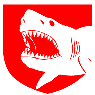 KAPITAN_YKRAINA's emblem