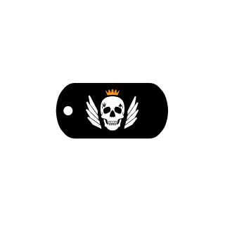 igorconnecty's emblem