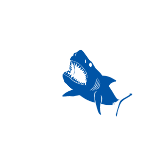 sleepi_B0i's emblem