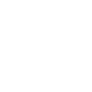 606ab263e7ed3e66's emblem