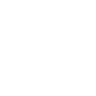 NoKiaFlaSh's emblem
