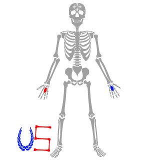 Velzevul_45ru's emblem