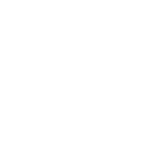 vincentypy's emblem