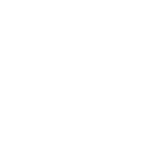 AldinoBR's emblem