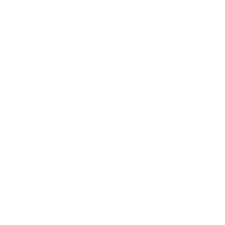 CustomOverride's emblem