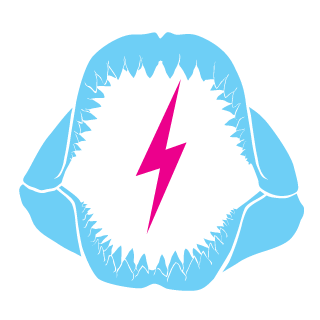 jXtBazookaJoe's emblem
