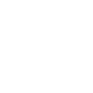 BoomShaka1997's emblem