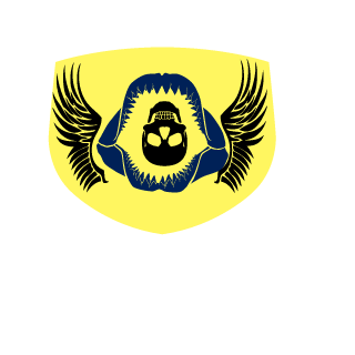 BlackFiNRiR's emblem