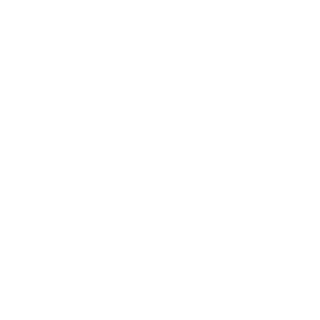 II_ALLAH_II's emblem
