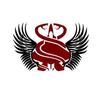 NOOBSLAYER242's emblem
