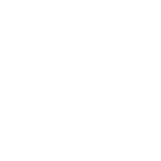 NickVW997's emblem