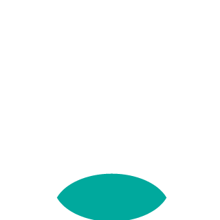 leo293900's emblem