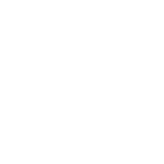 Eddieshun's emblem