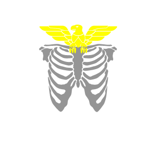 FoolNightPlay's emblem