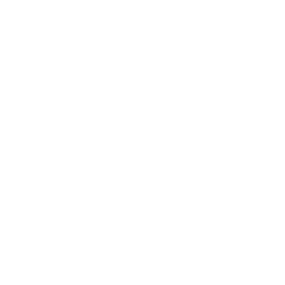 Whitevanman999's emblem