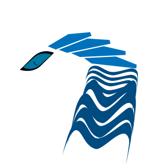 wisdomcore's emblem