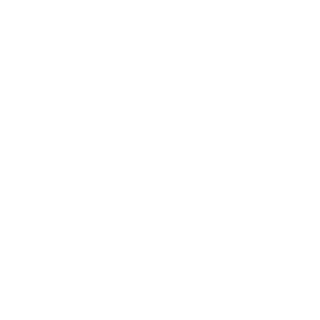 12GAFacelift's emblem